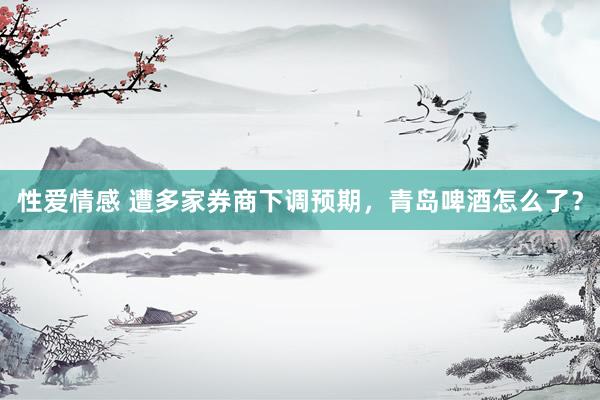 性爱情感 遭多家券商下调预期，青岛啤酒怎么了？