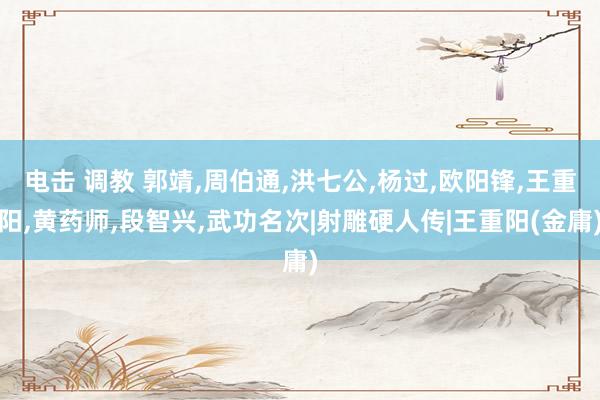 电击 调教 郭靖,周伯通,洪七公,杨过,欧阳锋,王重阳,黄药师,段智兴,武功名次|射雕硬人传|王重阳(金庸)