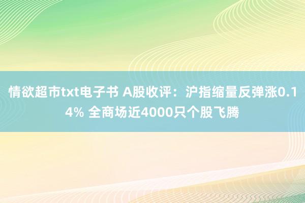 情欲超市txt电子书 A股收评：沪指缩量反弹涨0.14% 全商场近4000只个股飞腾