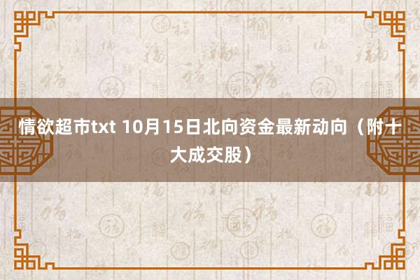 情欲超市txt 10月15日北向资金最新动向（附十大成交股）