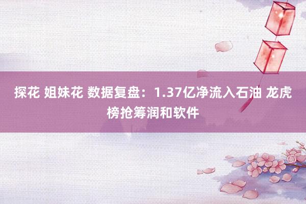 探花 姐妹花 数据复盘：1.37亿净流入石油 龙虎榜抢筹润和软件