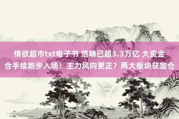 情欲超市txt电子书 范畴已超3.3万亿 大资金合手续跑步入场！主力风向更正？两大板块获加仓