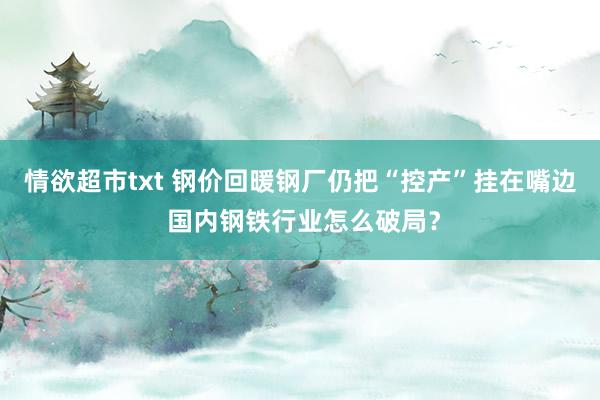 情欲超市txt 钢价回暖钢厂仍把“控产”挂在嘴边 国内钢铁行业怎么破局？