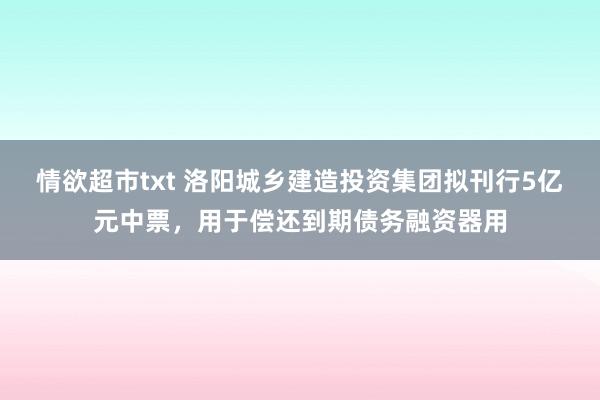 情欲超市txt 洛阳城乡建造投资集团拟刊行5亿元中票，用于偿还到期债务融资器用